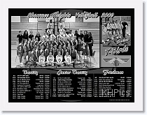 SHHS VB 2009 Poster